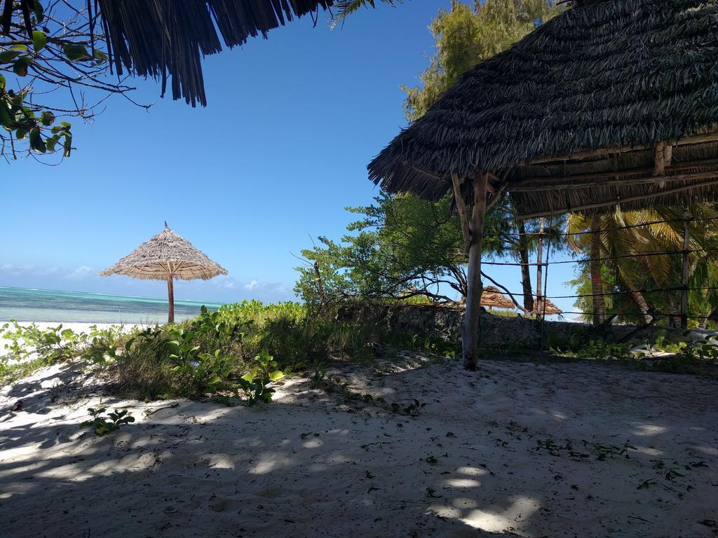 Twisted Palms & Restaurant Bwejuu