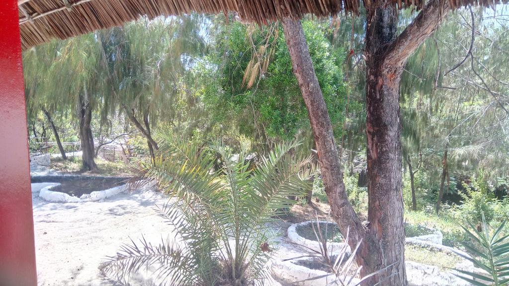 Twisted Palms & Restaurant