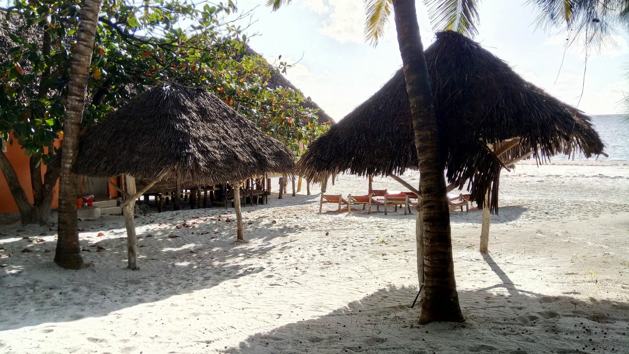 Twisted Palms & Restaurant Hotel