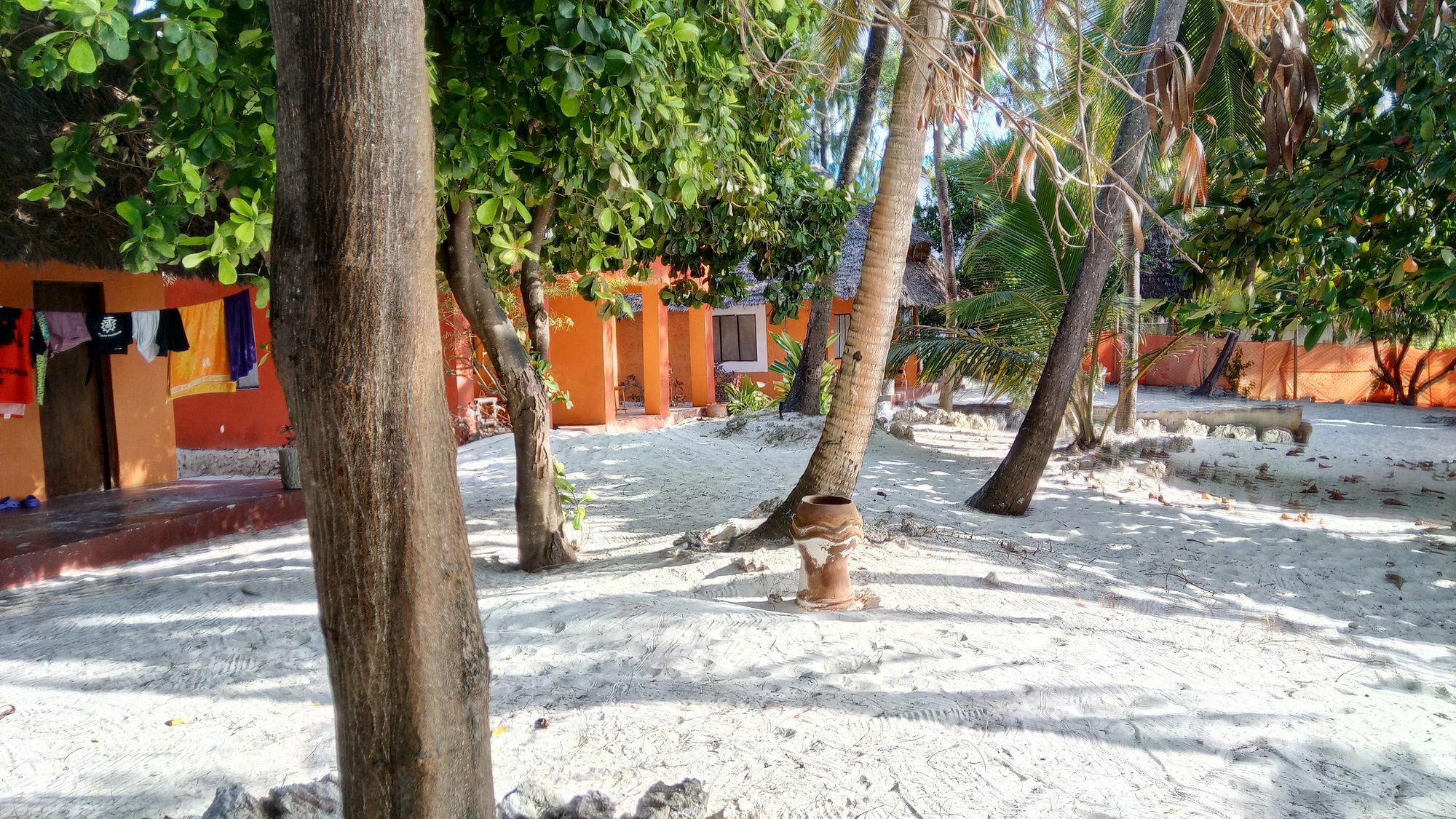 Twisted Palms & Restaurant Hotel